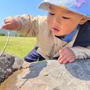 Betty的头像-熵减岛