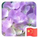 青柠C的钢琴谱