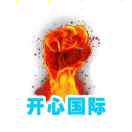开心国际