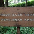 李佳鑫