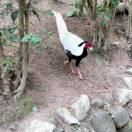 我是主播的老公