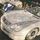 chsjxia的头像-小鑫の小屋