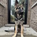 Michigan place 转租&房东直租