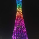 韦先生的头像
