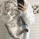 11.