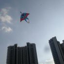 谢先生的头像