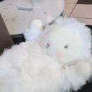 纽约(纽约州)求租