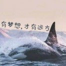 张先生