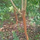 好人好梦好心情