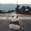 江先生的头像