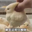 伦敦求租
