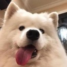 张先生的头像