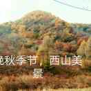 巡山人的头像