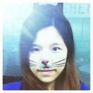 娃娃叶  (•ૢ⚈͒⌄⚈͒•ૢ)