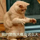 白月光朱沙痣