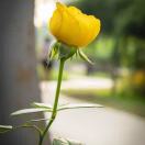 Katrina~恩淑²⁰²³店主头像