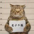 Σ(っ°Д°;)っ_992