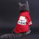 邓彩健