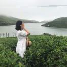 启点学杯作文大赛郑文强