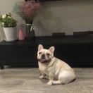林先生的头像