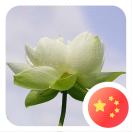 股市天经（之二）：量线捉涨停