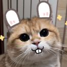 朱里钺的钢琴谱