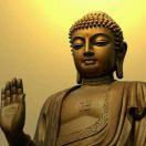 妗娩感覺🦋離妳很近的头像-工欲善其事，必先利其器宋辞云创