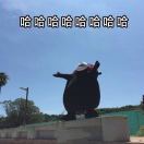 用户评价