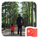 生理心理双修 斌哥