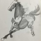 高级产品经理