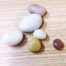 用户82786700-风行者社区