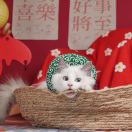吕双辉的头像-VAM®克苏恩资源社区