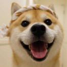 行天下（变色杯定制）的头像-创薯资源