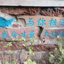 戴先生的头像