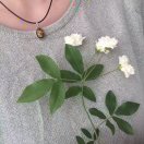 鄭~雯