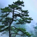 u客直谈实名认证张先生