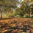 社会公寓2b2b转租&房东直租