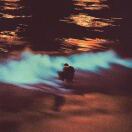 Grand Felda House转租&房东直租