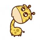 追梦大男孩80271