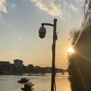 杨东艳