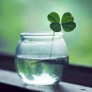 贺强Andy🍀商友平台-商友系统-商友速订-收银系统商友平台