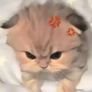 小佳长三斤头像