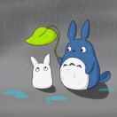wx_DKqsy3S0