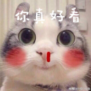 勤劳勇敢蠢胖如猪