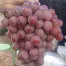 A宾川建业果蔬购销批发代办