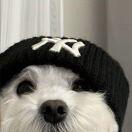 Vita Circle Square转租