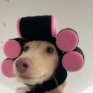 wx_冬雾恋13