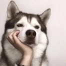 赵荣智