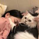 用户头标