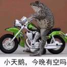 玩够了没